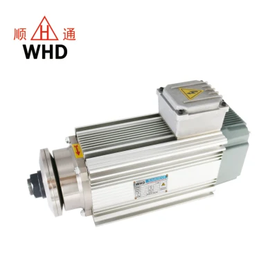 High Speed Air Cooled 3.0kw 2700/3000rpm Spindle Motor for Aluminum Alloy Working